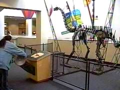cosi036.jpg