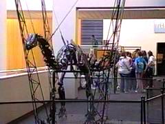 cosi044.jpg