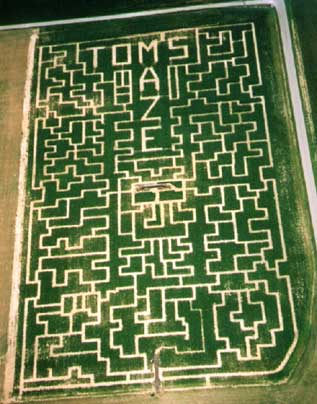 maze2002.jpg